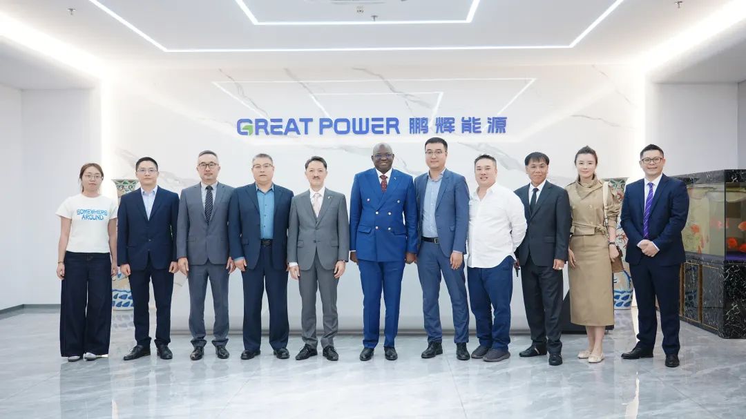 岡比亞共和國駐華大使到訪鵬輝能源，共商西非光儲項目合作